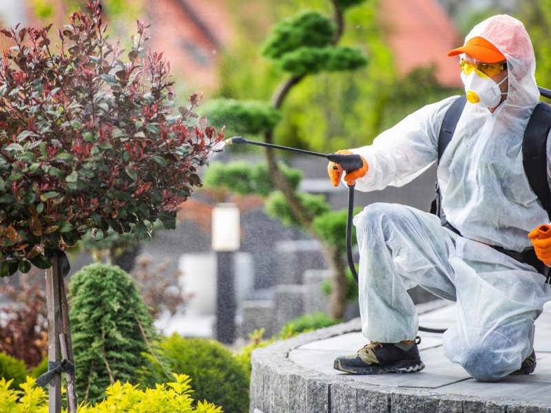Pamukkale Haşere İlaçlama